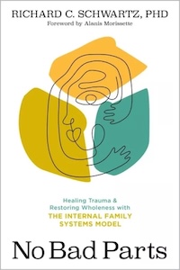 No Bad Parts book cover.